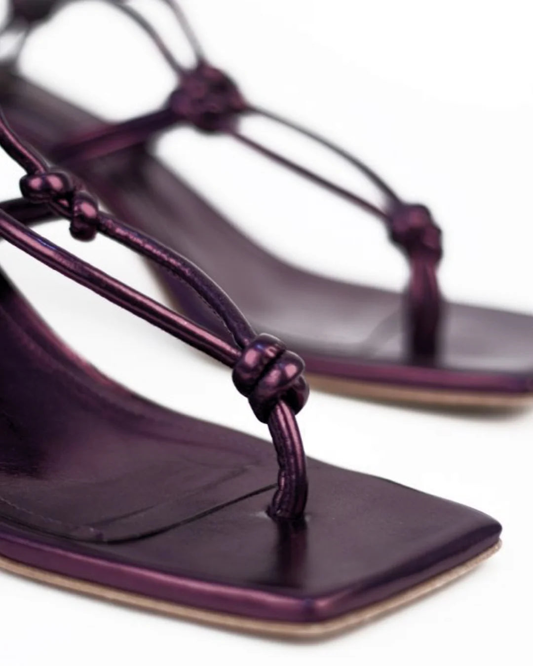 Strelitzia - Metallic Purple
